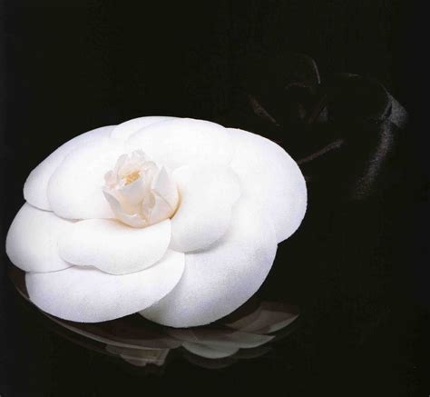 chanel flower story|coco Chanel camellia flower.